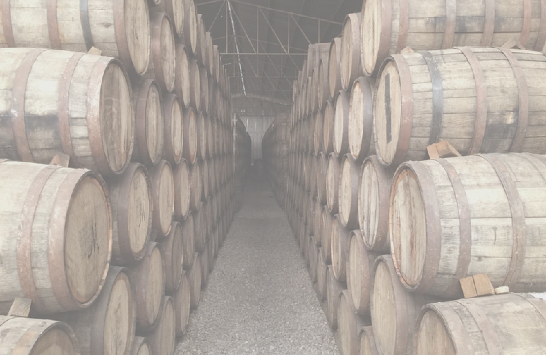 cantina-botti